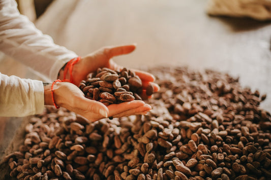 Kickstarter video: What is ceremonial cacao?