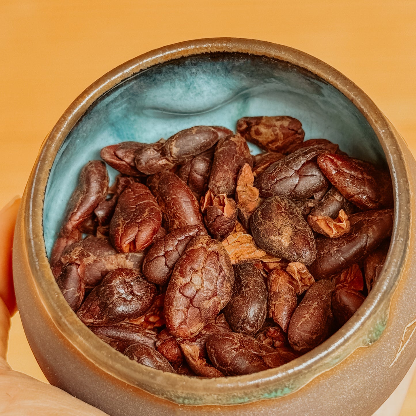 Röstitud iidsed kakao-oad