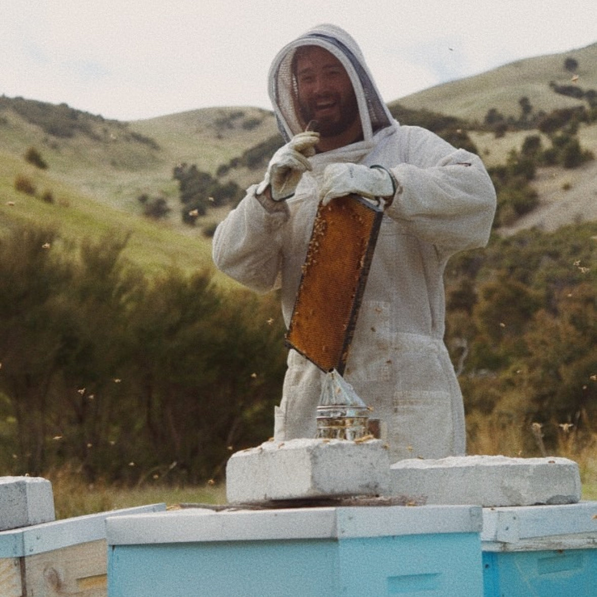 Parem kui šampanja - Manuka Jun Rose