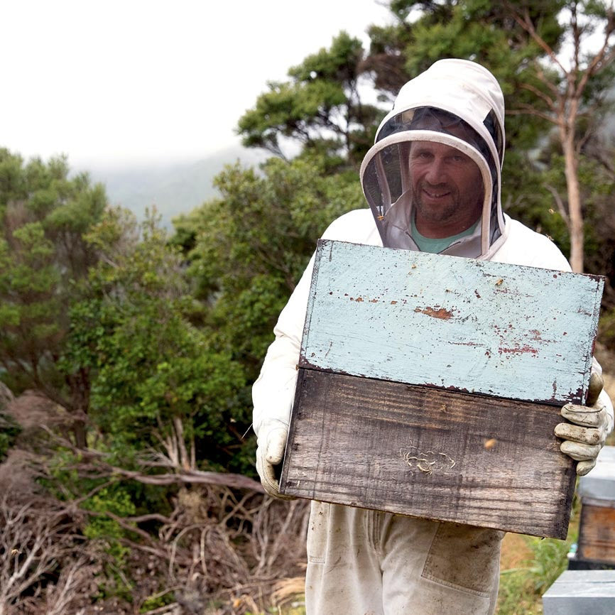 Manuka Mesi MGO 580+